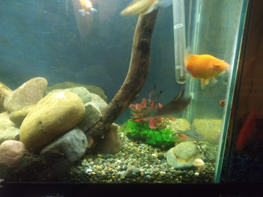 Animal Feed Store «Farmland Pets & Feed», reviews and photos, 9000 Silverdale Way NW, Silverdale, WA 98383, USA