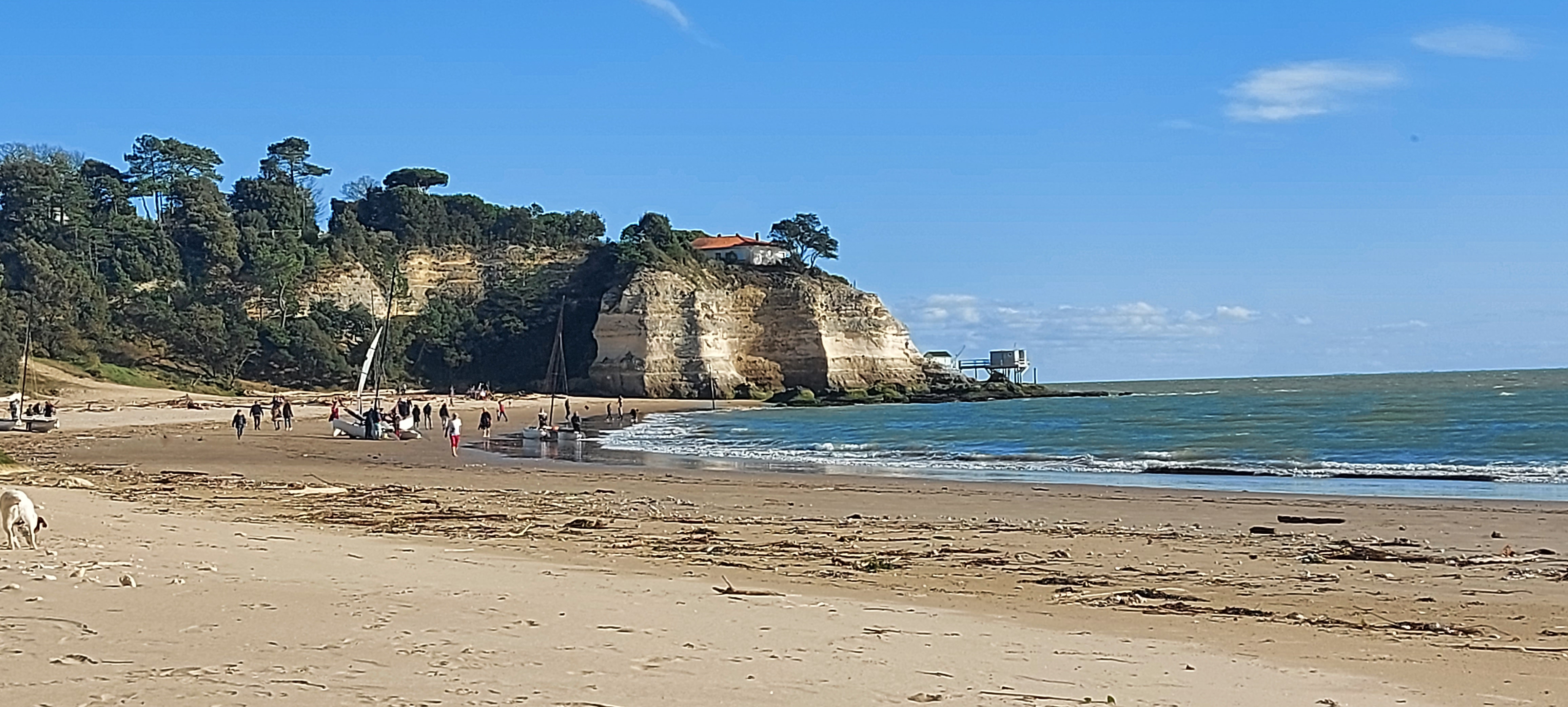 Photo n° 1 de l'avis de Création.e fait le 12/03/2022 à 21:17