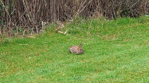 Golf Course «Ocean City Golf Course», reviews and photos, 2600 Bay Ave, Ocean City, NJ 08226, USA