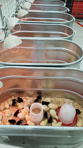 Home Improvement Store «Tractor Supply Co.», reviews and photos, 321 N 3rd St, Oxford, PA 19363, USA