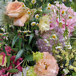 Photo n°7 de l'avis de andrea.i fait le 23/06/2023 à 10:05 sur le  Azienda Agricola Palazzo Manzoni à San Zaccaria