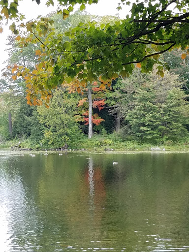 Nature Preserve «Beaver Meadow Audubon Center», reviews and photos, 1610 Welch Rd, Java Center, NY 14082, USA