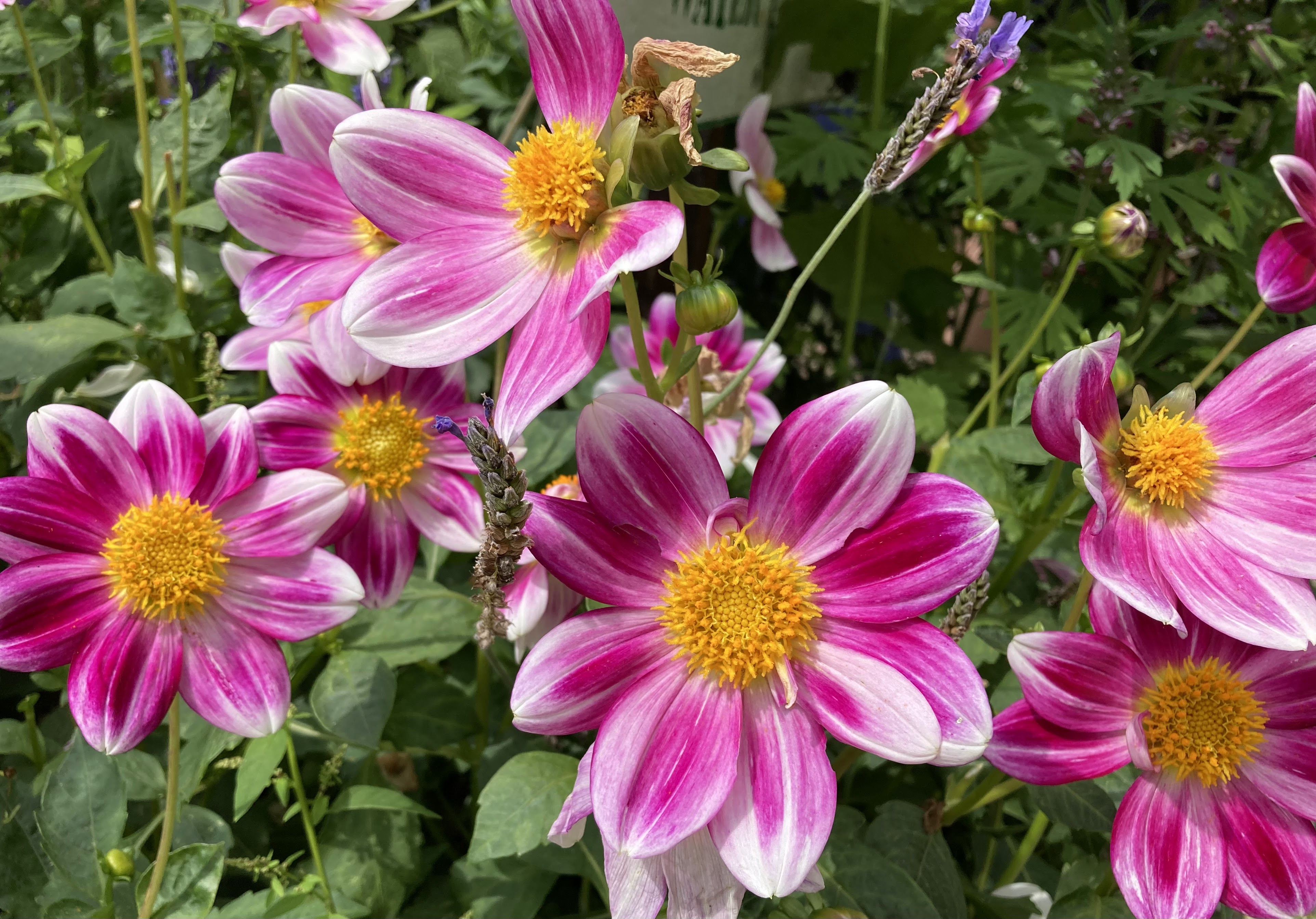 Photo n° 8 de l'avis de George.a fait le 21/08/2023 à 17:35