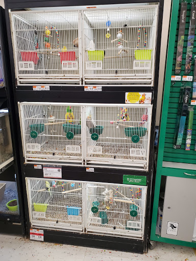 Pet Supply Store «Pet Supplies Plus», reviews and photos, 4405 Milestrip Rd, Blasdell, NY 14219, USA