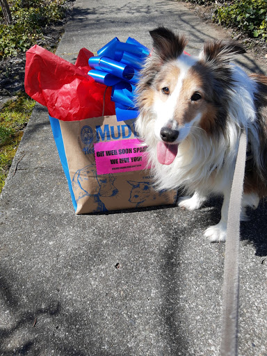 Pet Supply Store «Mud Bay», reviews and photos, 2750 77th Ave SE, Mercer Island, WA 98040, USA