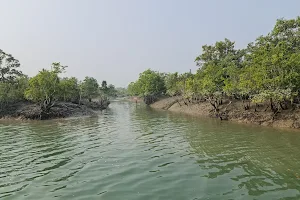 Sundarban National Park (West Bengal) image