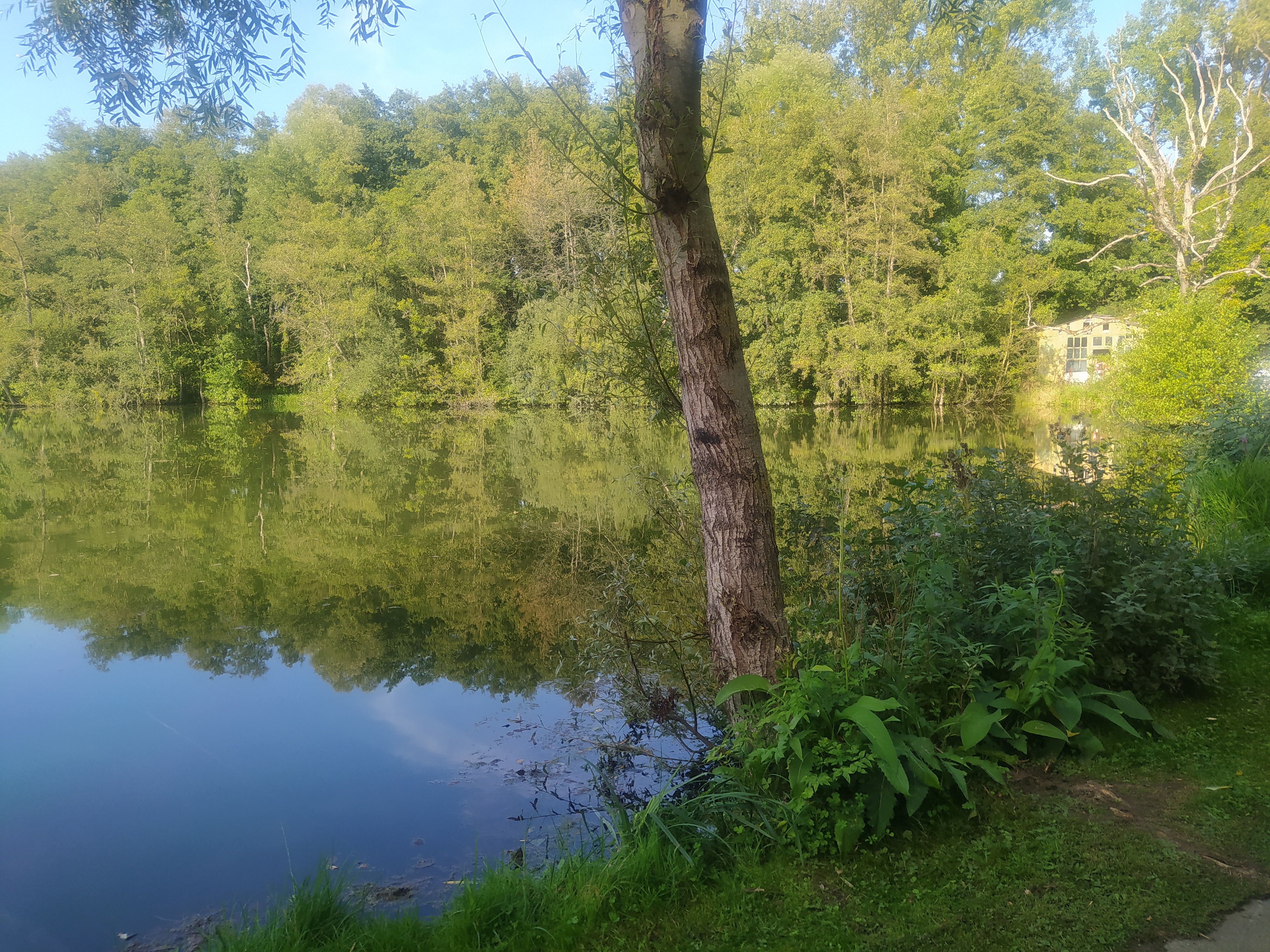 Photo n° 7 de l'avis de Bubulle.l fait le 22/09/2021 à 18:14