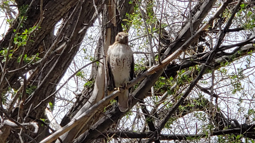 Park «Willow Creek Park», reviews and photos, 8000 E Phillips Cir, Centennial, CO 80112, USA