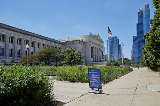 Museum «The Field Museum», reviews and photos, 1400 S Lake Shore Dr, Chicago, IL 60605, USA
