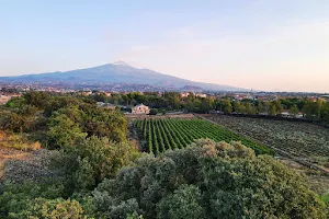Etna Urban Winery image