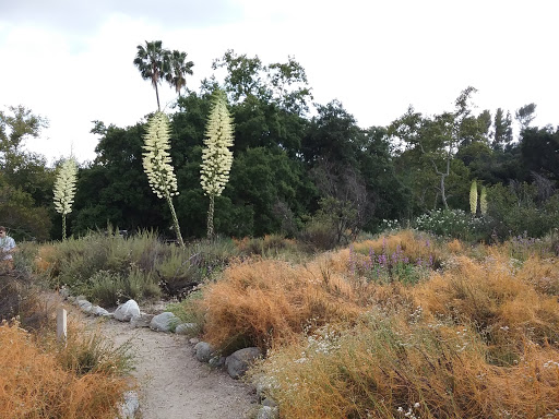 National park Pasadena