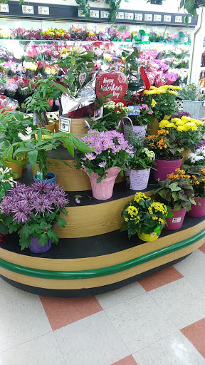 Grocery Store «Market Basket», reviews and photos, 399 John Fitch Hwy, Fitchburg, MA 01420, USA