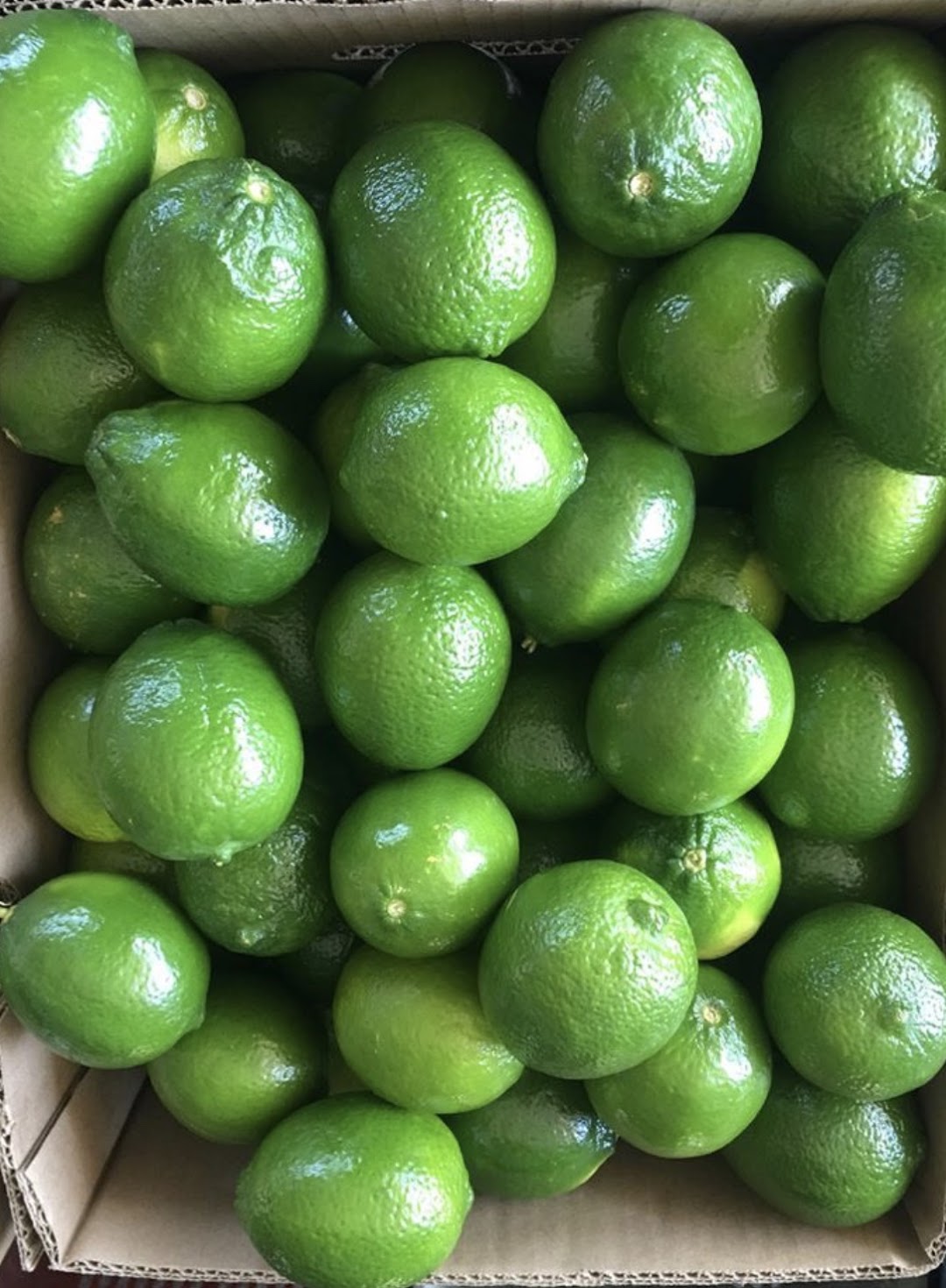 Limones Rodríguez