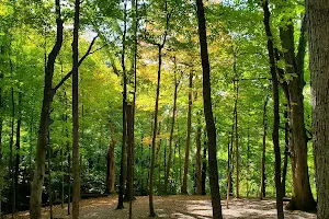 Highland Park Disc Golf Course image