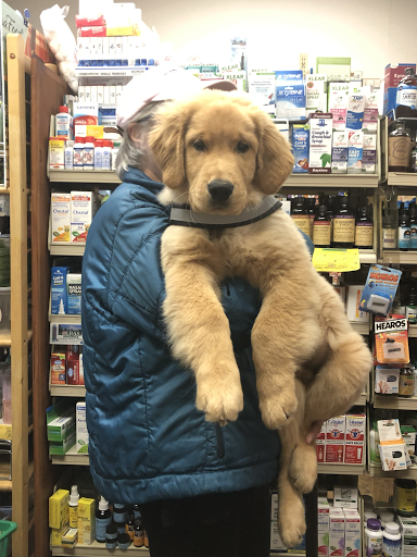 Health Food Store «Wild Oats Health Food Store», reviews and photos, 12 West St, Beverly, MA 01915, USA