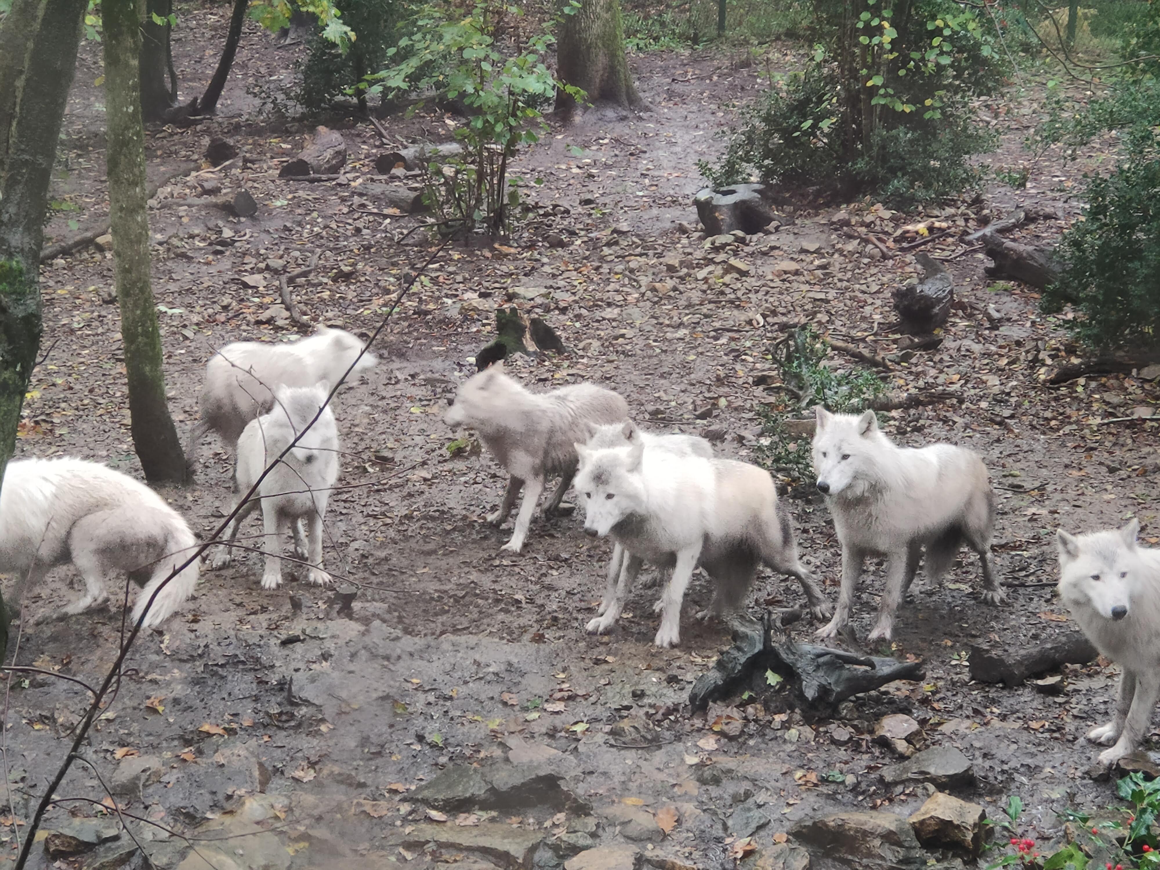 Photo n° 1 de l'avis de LexPo.T fait le 28/10/2023 à 22:23
