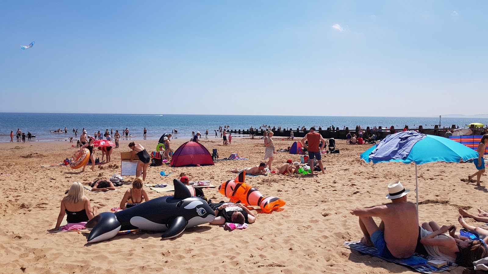 Foto di Dawlish Warren beach con dritto e lungo