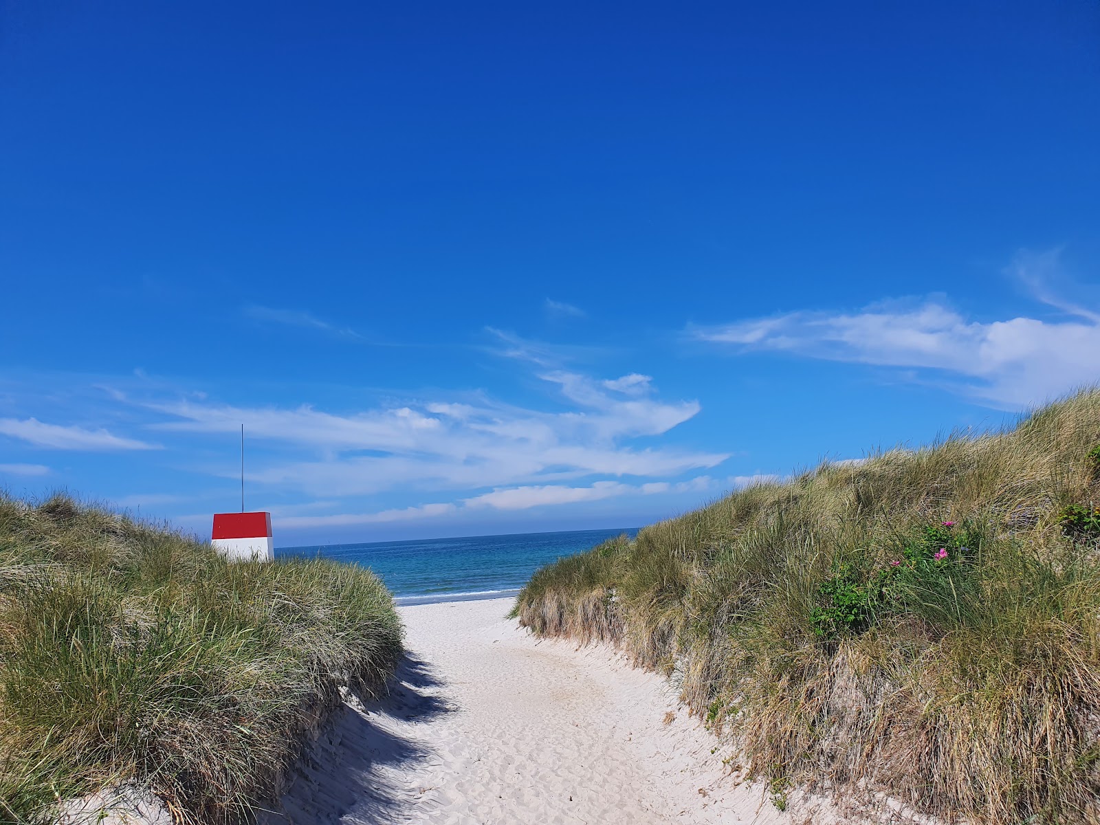 Foto de Rorvig Beach - lugar popular entre os apreciadores de relaxamento