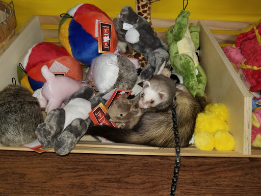 Pet Supply Store «Petagogy», reviews and photos, 5880 Ellsworth Ave, Pittsburgh, PA 15232, USA