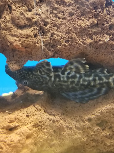 Pet Supply Store «Petco Animal Supplies», reviews and photos, 300 Quaker Ln #3, Warwick, RI 02886, USA