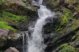 Iruppu Falls - Brahmagiri image