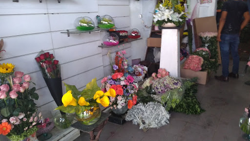 Florería la luna florería en  en la zona Curtidores