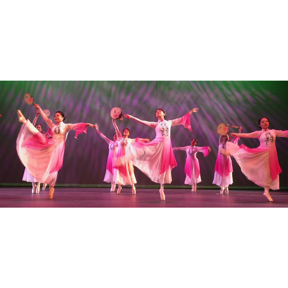 Shihui Dance School, LLC