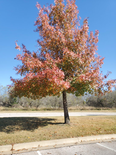 National Park «Waco Mammoth National Monument», reviews and photos, 6220 Steinbeck Bend Dr, Waco, TX 76708, USA