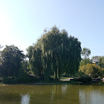 Photo n°2 de l'avis de Sabine. fait le 29/05/2023 à 16:14 sur le  Das Park - Restaurant und Café à Bad Bellingen