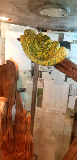 Pet Supply Store «Pet Bazaar», reviews and photos, 490 FL-436, Casselberry, FL 32707, USA