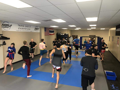 Martial Arts School «World Kickboxing Academy and Brazilian Jiu Jitsu of Cuyahoga Falls», reviews and photos, 1830 Portage Trail, Cuyahoga Falls, OH 44223, USA