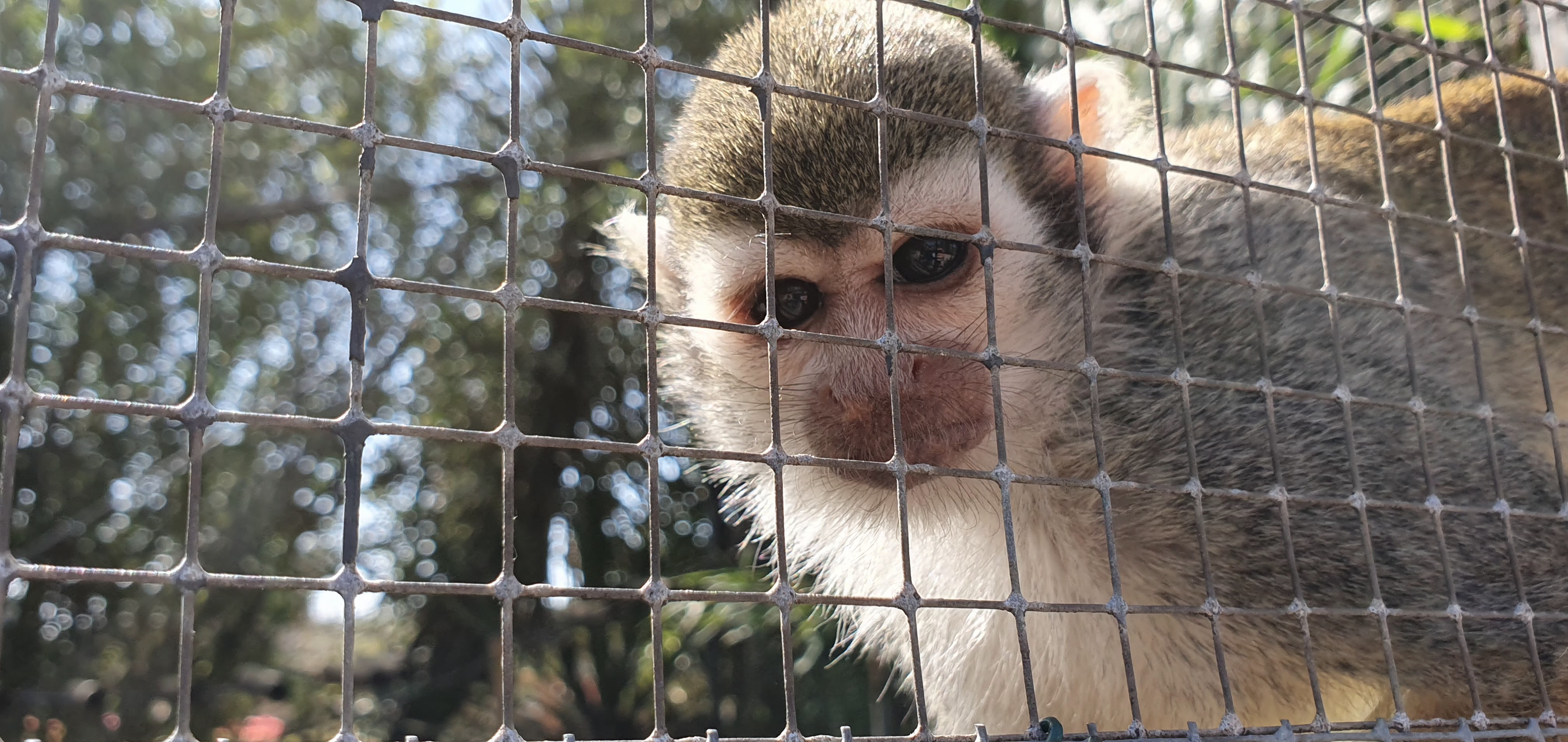 Photo n° 5 de l'avis de Jerome.e fait le 31/03/2019 à 16:29