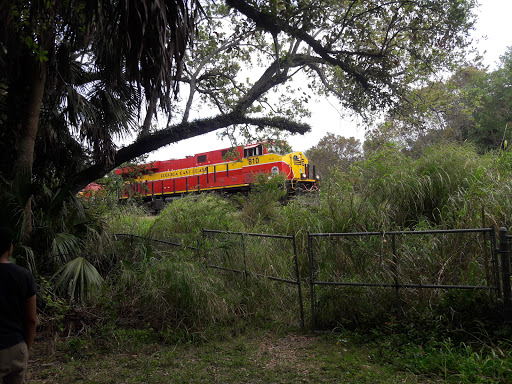 Park «Enchanted Forest Elaine Gordon Park», reviews and photos, 1725 NE 135th St, North Miami, FL 33181, USA