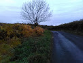 Hollyfast Meadows Central Equestrian