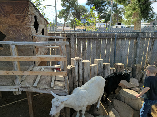 Zoo «Jr Pony Parties», reviews and photos, 1744 N Leonard Ln, Las Vegas, NV 89108, USA