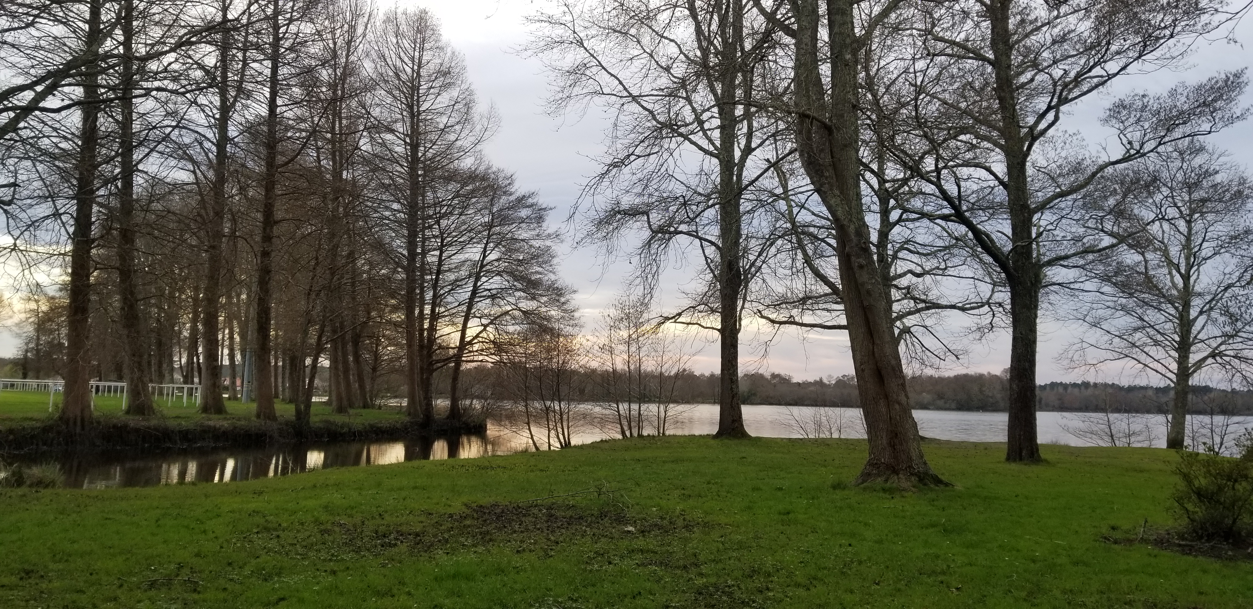 Photo n° 1 de l'avis de flore.o fait le 20/02/2021 à 17:15
