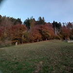 Photo n°1 de l'avis de Sabrina.e fait le 30/10/2022 à 18:16 sur le  Bar Beach à Rizzolaga-Campolongo