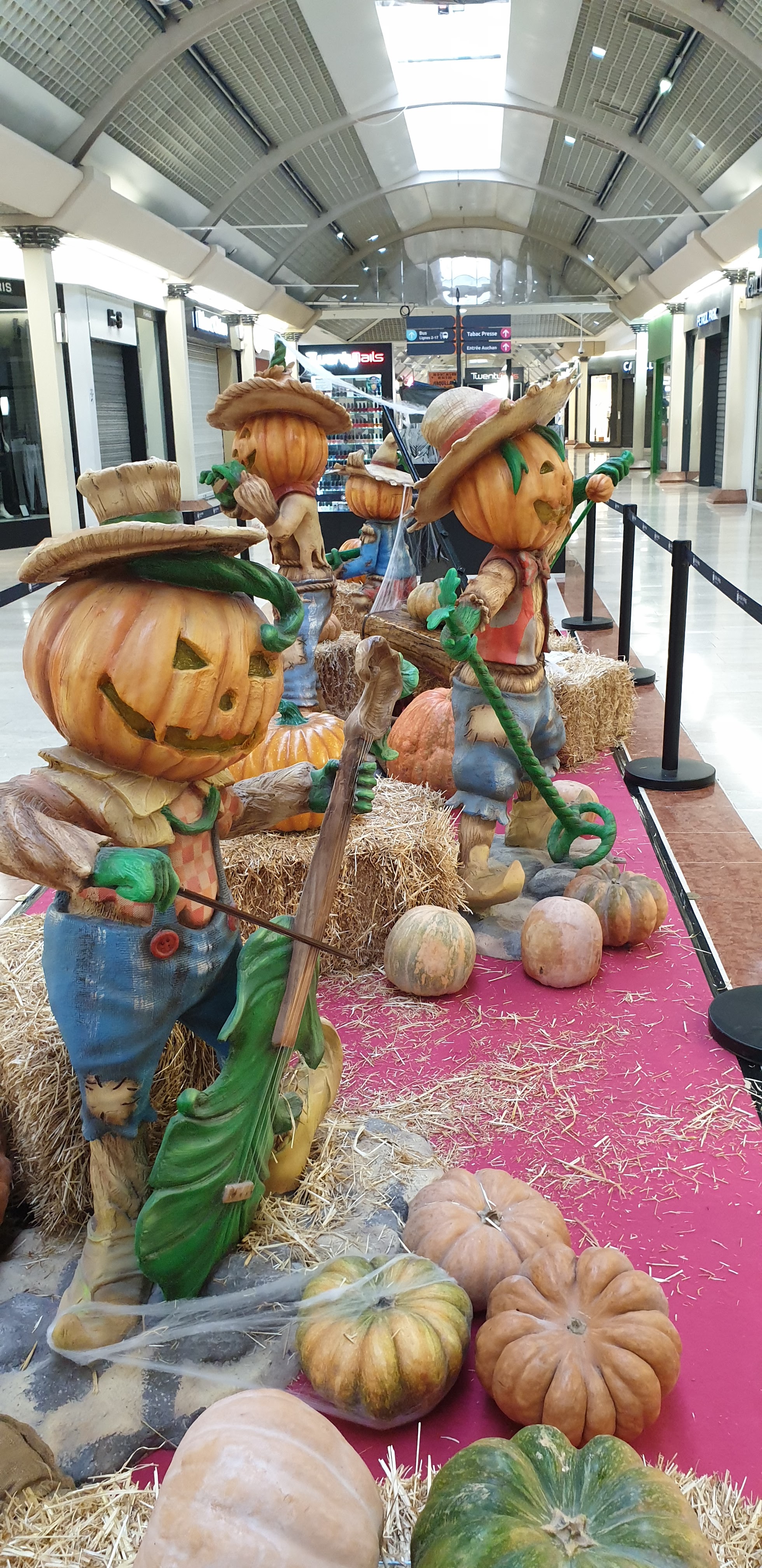 Photo n° 3 de l'avis de Joelle.e fait le 25/10/2022 à 17:24