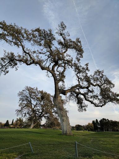 Golf Club «Paso Robles Golf Club», reviews and photos, 1600 Country Club Dr, Paso Robles, CA 93446, USA