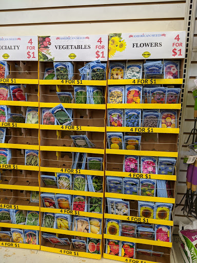 Dollar Store «Dollar Tree», reviews and photos, 1200 Market St, Lemoyne, PA 17043, USA