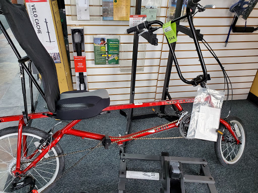 Bicycle Store «Fort Myers Cyclery - Schwinn GT Jamis Colnago», reviews and photos, 3630 S Cleveland Ave, Fort Myers, FL 33901, USA