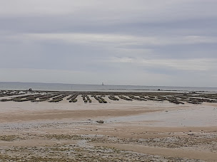 Photo n°8 de Le Village du Phare - Yelloh Village à Saint-Clément-des-Baleines ()