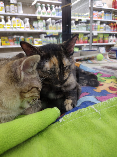 Pet Store «Teske Pet & Garden», reviews and photos, 2423 16th St, Moline, IL 61265, USA