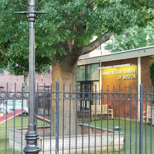 10 Chandler St, Boston, MA 02116, USA