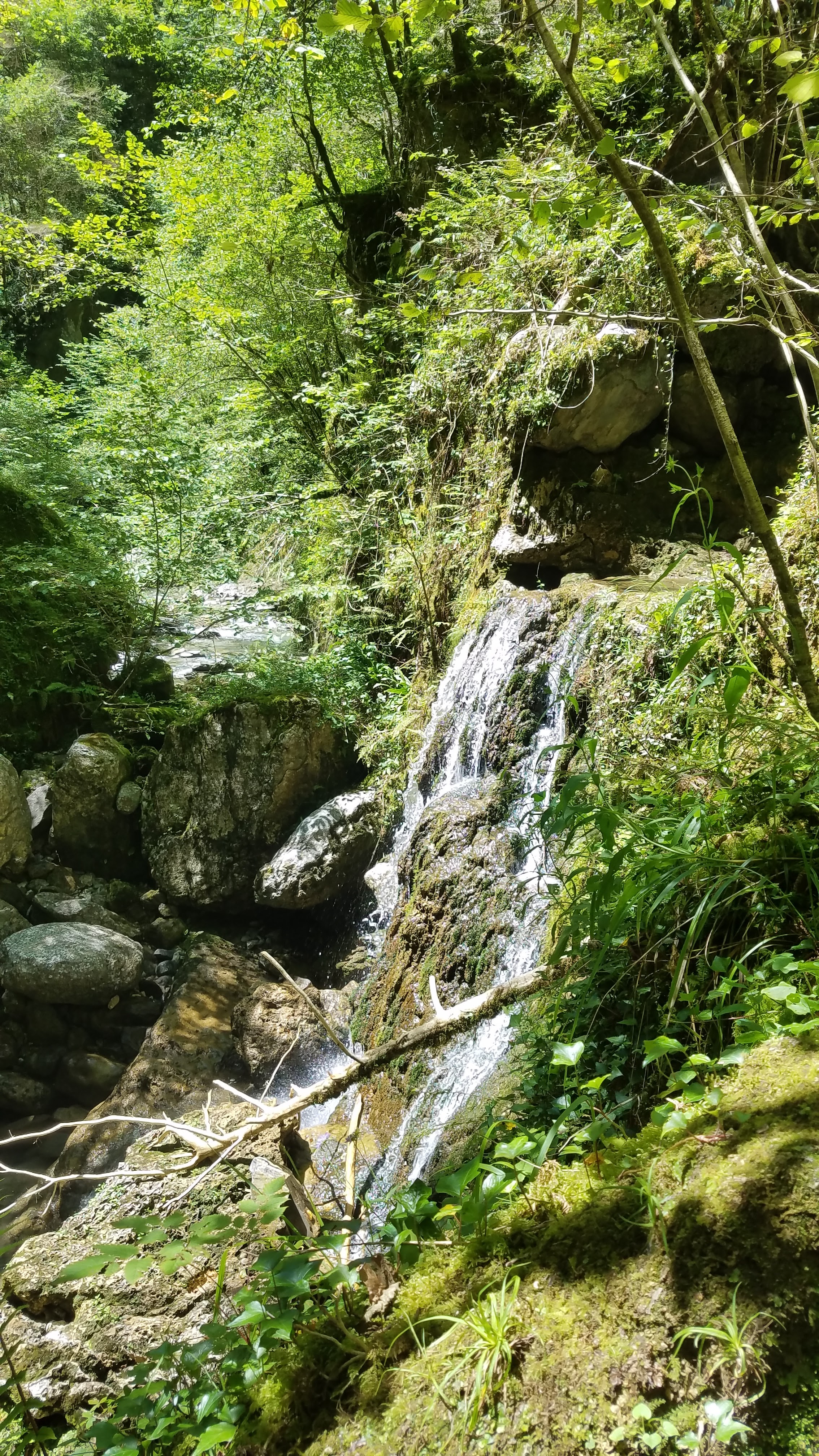 Photo n° 5 de l'avis de Eric.e fait le 02/08/2018 à 22:24
