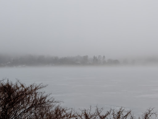 Arts Organization «Arts on the Lake», reviews and photos, 640 NY-52, Carmel, NY 10512, USA