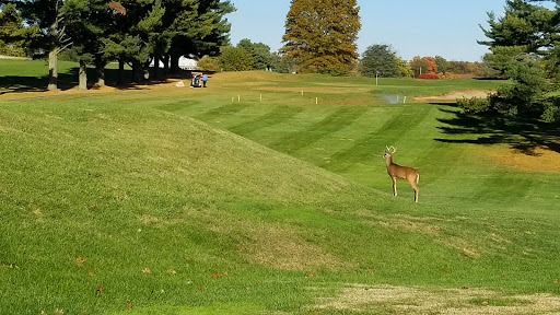 Golf Course «Springfield Twp Golf Course», reviews and photos, 400 W Sproul Rd, Springfield, PA 19064, USA