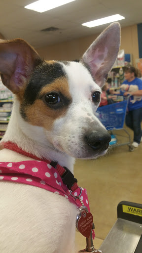 Pet Supply Store «PetSmart», reviews and photos, 162 S Gary Ave, Bloomingdale, IL 60108, USA