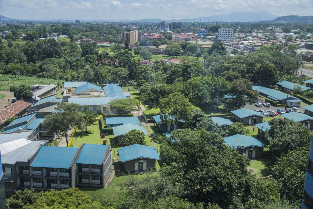 Centre For Educational Development In Health, Arusha (CEDHA)