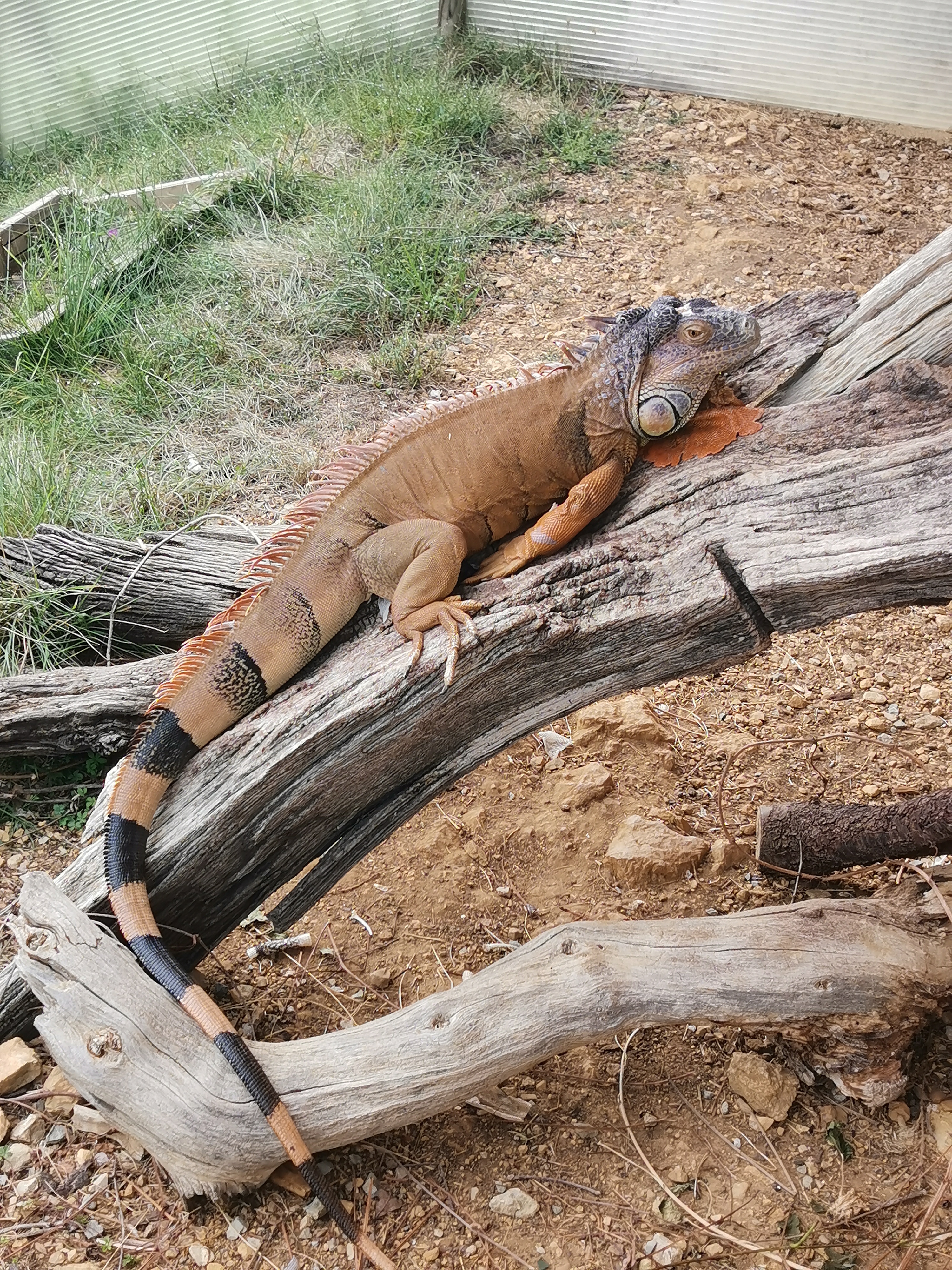 Photo n° 1 de l'avis de jerome. fait le 01/09/2021 à 14:11